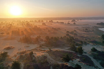 Aerial from sunrise in the forest from Friesland in the Netherlands