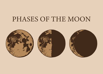 The Moon, Moon Phases in modern colors, contemporary aesthetic poster, background or card template in popular art style © CreativeUniverse