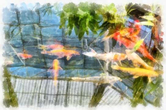 koi fish in water watercolor style illustration impressionist painting.