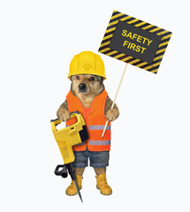 A beige dog in a construction helmet holds a jackhammer and a poster that says safety first. White background. Isolated. - 465616531
