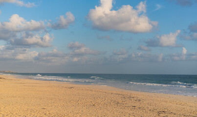 CARIBBEAN BEACH WITHOUT PEOPLE, WITH TURQUOISE WATER, COCONUT PALM TREES AND WHITE SANDS