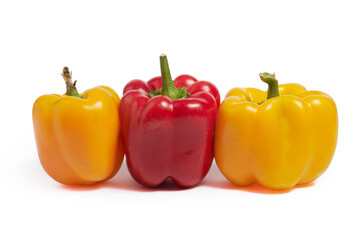 Red and yellow sweet peppers are arranged in one row on a white background. Harvest vegetables. Agriculture.