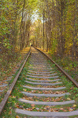 Famous landscape called Tunnel of Love, Ukraine. Railway with natural tunnel in autumn. Magical...