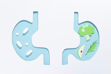Illustration of the human’s stomach taking vitamins/antibiotics/probiotics and an illustration of the stomach of a human who eats enough vegetables.