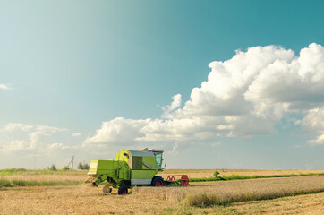 Fototapeta premium Harvester on a wheat field under a blue sky with clouds