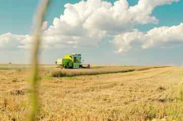 Wheat field with a combine on the horizon on a sunny day