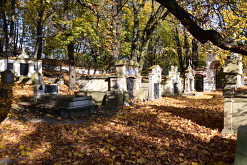 Stary Cmentarz, w Podgórzu, nagrobki, grobowce,  - obrazy, fototapety, plakaty
