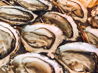 raw fresh oysters close-up. seafood