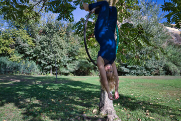 Young blonde woman in a blue suit, exercising upside down in an aero hoop hanging from a tree in the middle of a park. Concept aerial hoop, pole dance, fitness, curvy girl. - Powered by Adobe