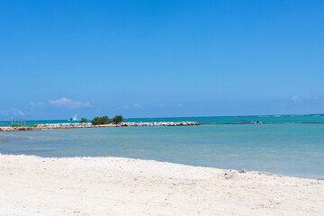 CARIBBEAN BEACH WITHOUT PEOPLE, WITH TURQUOISE WATER, COCONUT PALM TREES AND WHITE SANDS