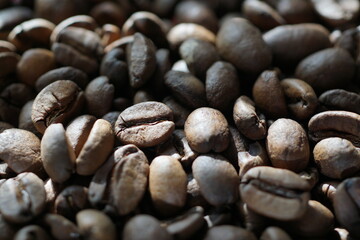 coffee beans background