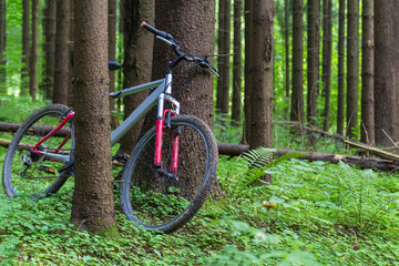 Fototapeta na wymiar Mountain bike is standing in the forest. Photo of the bicycle in the woods with trees.