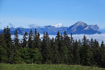 Vue sur le Mont-Blanc depuis le plateau de la Molière dans le Vercors