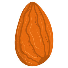 Cartoon illustration with colorful nut almond. Farm market product. Vector hand drawn graphic. Single isolated art.
