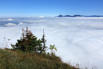 Vue sur le Mont-Blanc depuis la Sure dans le Vercors