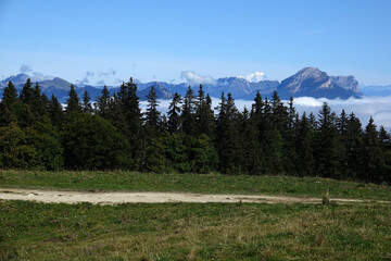Vue sur le Mont-Blanc depuis le plateau de la Molière dans le Vercors