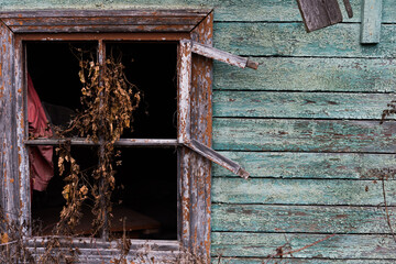 Wooden wall of an old house. Peeling paint. Antiquity texture