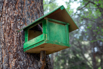 Wooden bird feeder in the summer forest. Caring for the environment.