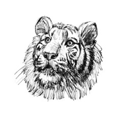 New Year set 2022_symbol_tiger 05_jpg