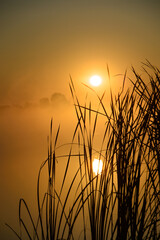 Fototapeta premium Beautiful foggy morning. Fog over autumn lake at sunrise moment. Wide panorama.