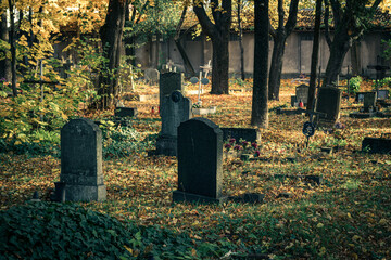 stary cmentarz jesienią w Polsce - obrazy, fototapety, plakaty