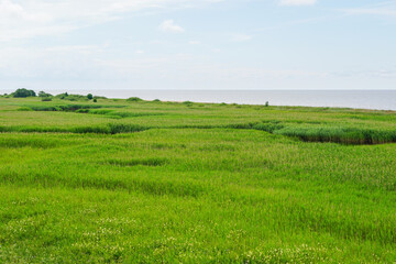 nature reserve Randu Meadows, located on the eastern shore of the Gulf of Riga in the Baltic Sea