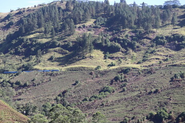 landscape of the mountains