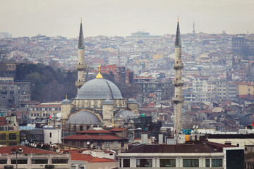 Fototapeta na wymiar view of istanbul on a cloudy autumn day