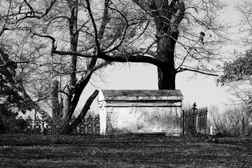 tomb graveyard cemetery haunted spooky scary dark horror black white holiday background