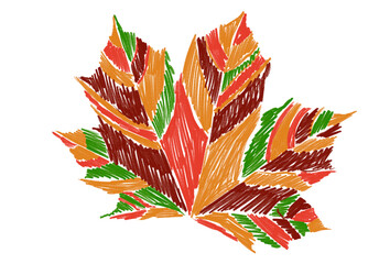maple leaf sketch with pencil sketch, colorful leaf on a white background