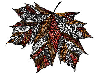 maple leaf sketch with black lines drawing, pencil sketch, colorful leaf on a white background