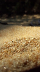 close up of a slice of bread