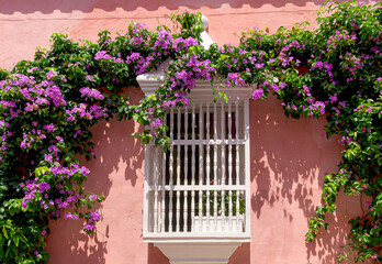 Fototapeta na wymiar white window full of green foliage with pink flowers. 