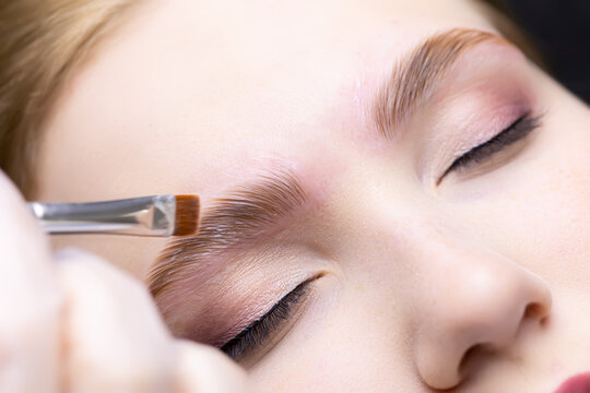 close-up of the eyebrows, on which the master evenly applies and distributes laminating compounds, thereby directing their growth