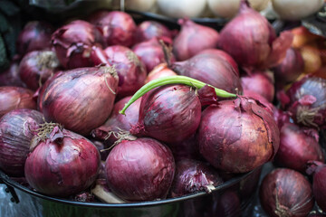 a bunch of red onions for sale in the market