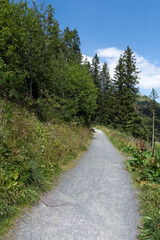 Fototapeta na wymiar Arosa, Switzerland, August 15, 2021 Walkway into the forest