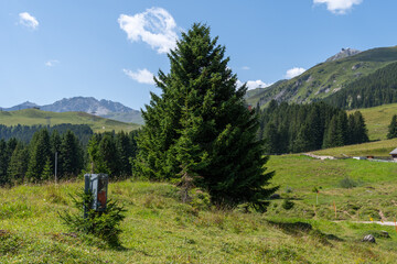 Fototapeta na wymiar Arosa, Switzerland, August 15, 2021 Alpine panorama view on a sunny summer day