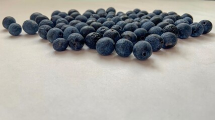 blackthorn or sloe on white background , copy space 