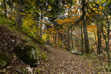 Walking in the Marguareis Natural Park, Pesio Valley Maritime Alps, Cuneo, Italy