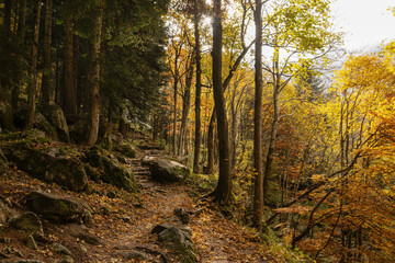 Obraz premium Walking in the Marguareis Natural Park, Pesio Valley Maritime Alps, Cuneo, Italy