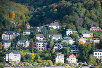 Fototapeta na wymiar Heidelberger Stadtansicht