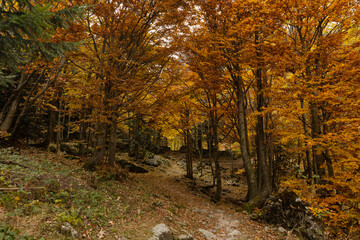 Walking in the Marguareis Natural Park, Pesio Valley Maritime Alps, Cuneo, Italy