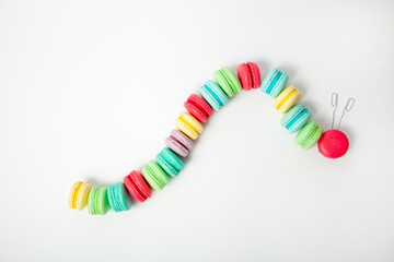 Creative food flat lay concept of a caterpillar made out of colorful cookies, 