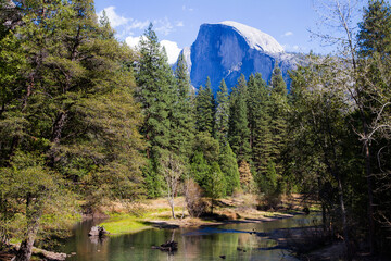 Yosemite Valley National Park Half Dome mit Bäumen