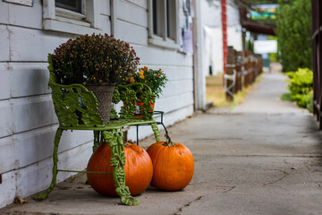 K&uuml;rbis Dekoration Halloween mit unscharfem Hintergrund