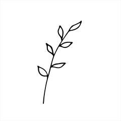 A painted branch with leaves. Doodle style, floral decor, greenery pattern, minimalism. Isolated. Vector illustration.