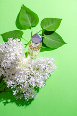 White lilac flowers and a glass bottle with perfume on a green background. Bright shadows and light. Place for your text. Flat lay.