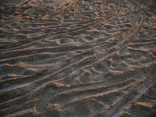 texture of the sand