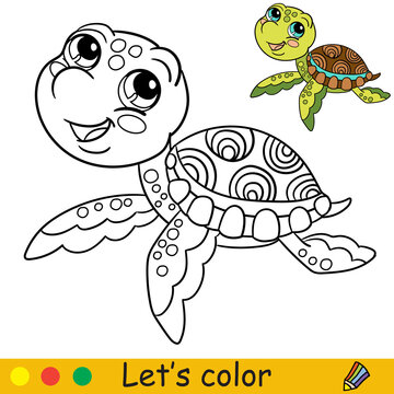 Cartoon cute and funny water turtle coloring