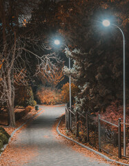 Naklejka premium road in winter